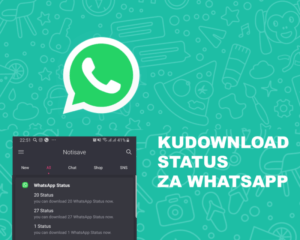 notisave kudownload status whatsapp